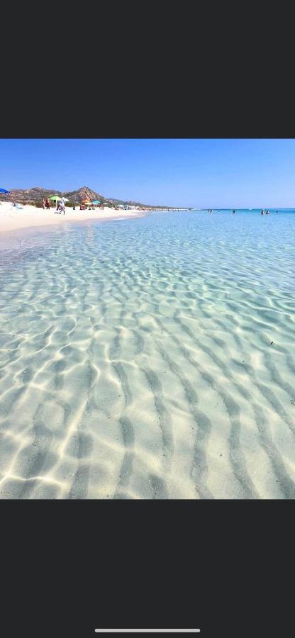 Le Residenze Del Mare Monolocale N6 Apartment La Caletta Ngoại thất bức ảnh